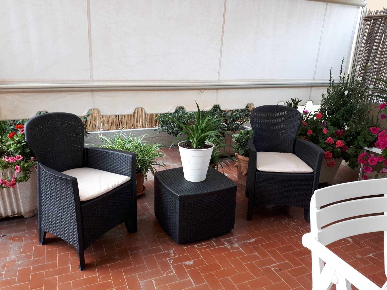 Affittacamere Il Conte Follonica Exterior foto